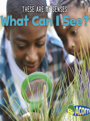 cover image of What Can I See?
